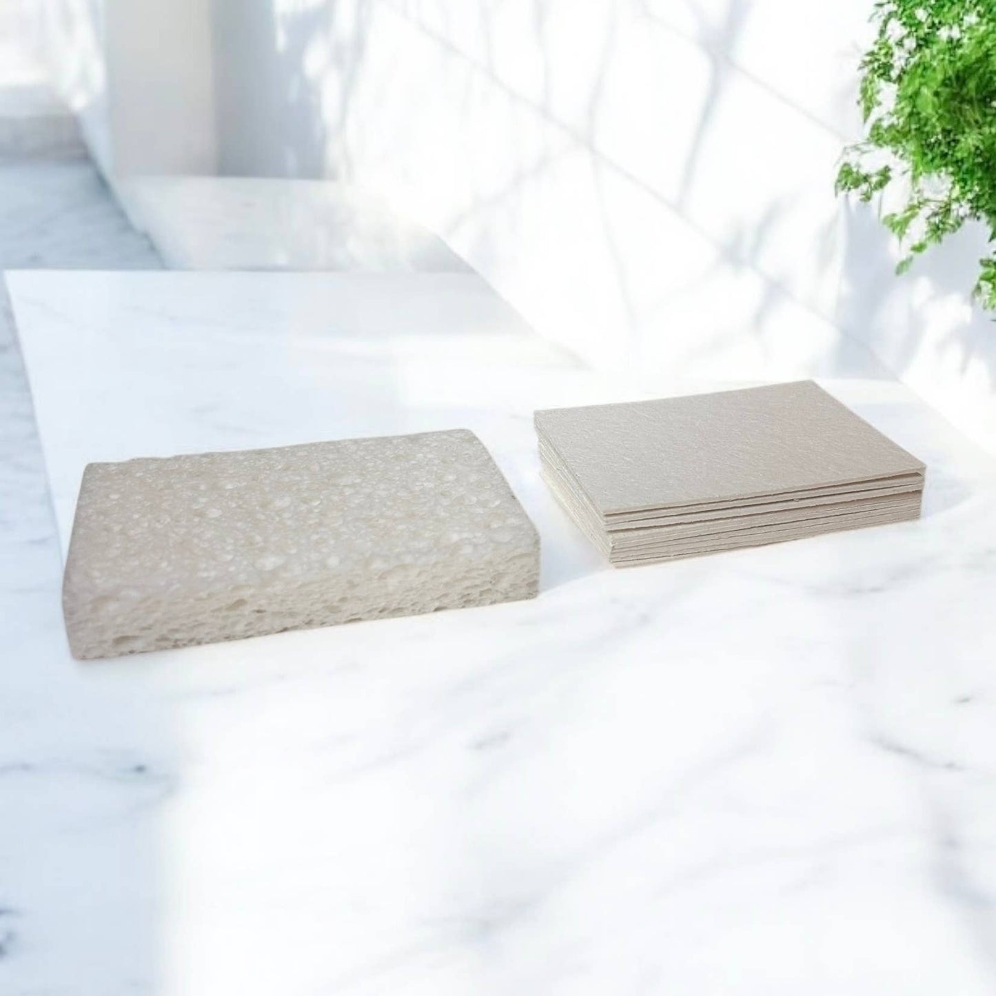 Compostable Cellulose Sponge : White