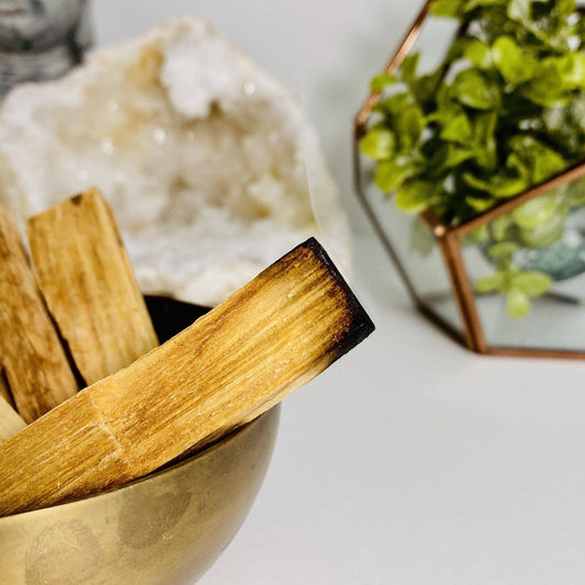 Palo Santo Smudging Holy Wood Cleansing