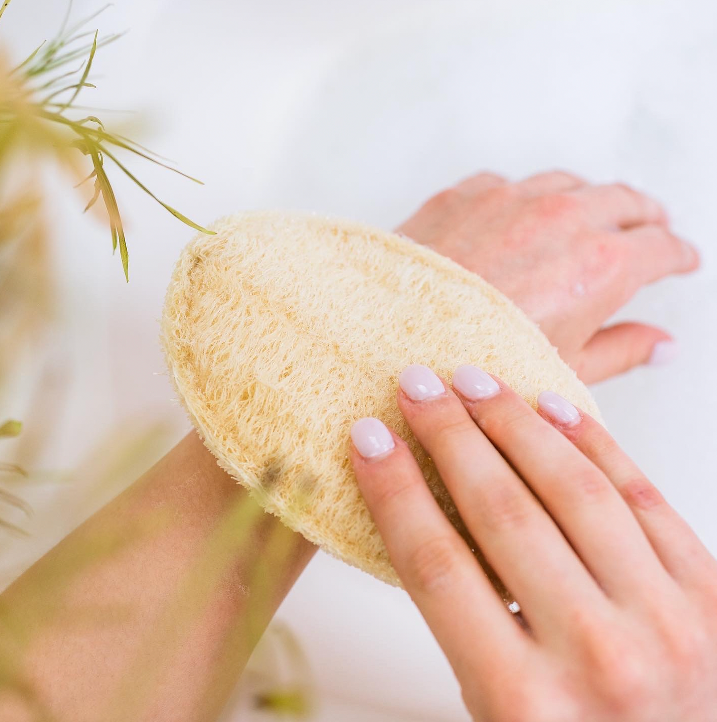 Large Exfoliating Loofah | Oval