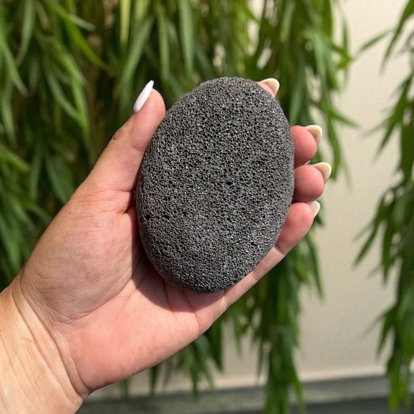 Pumice Stone