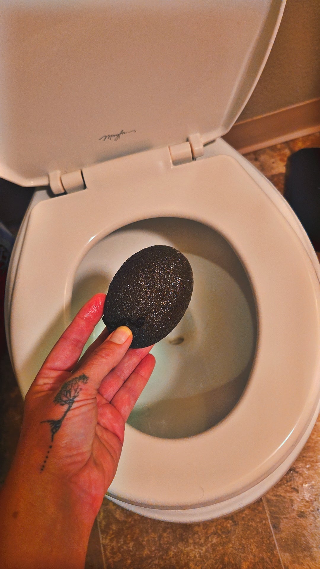 Large Natural Pumice Foot or cleaning Stone